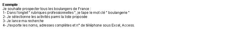 Zone de Texte: Exemple : 
Je souhaite prospecter tous les boulangers de France : 
1- Dans l'onglet " rubriques professionnelles ", je tape le mot cl " boulangerie " 
2- Je slectionne les activits parmi la liste propose 
3- Je lance ma recherche 
4- J'exporte les noms, adresses compltes et n de tlphone sous Excel, Access.